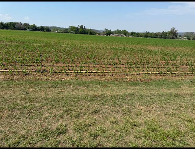 12HA FARM FOR SALE IN WEENEN